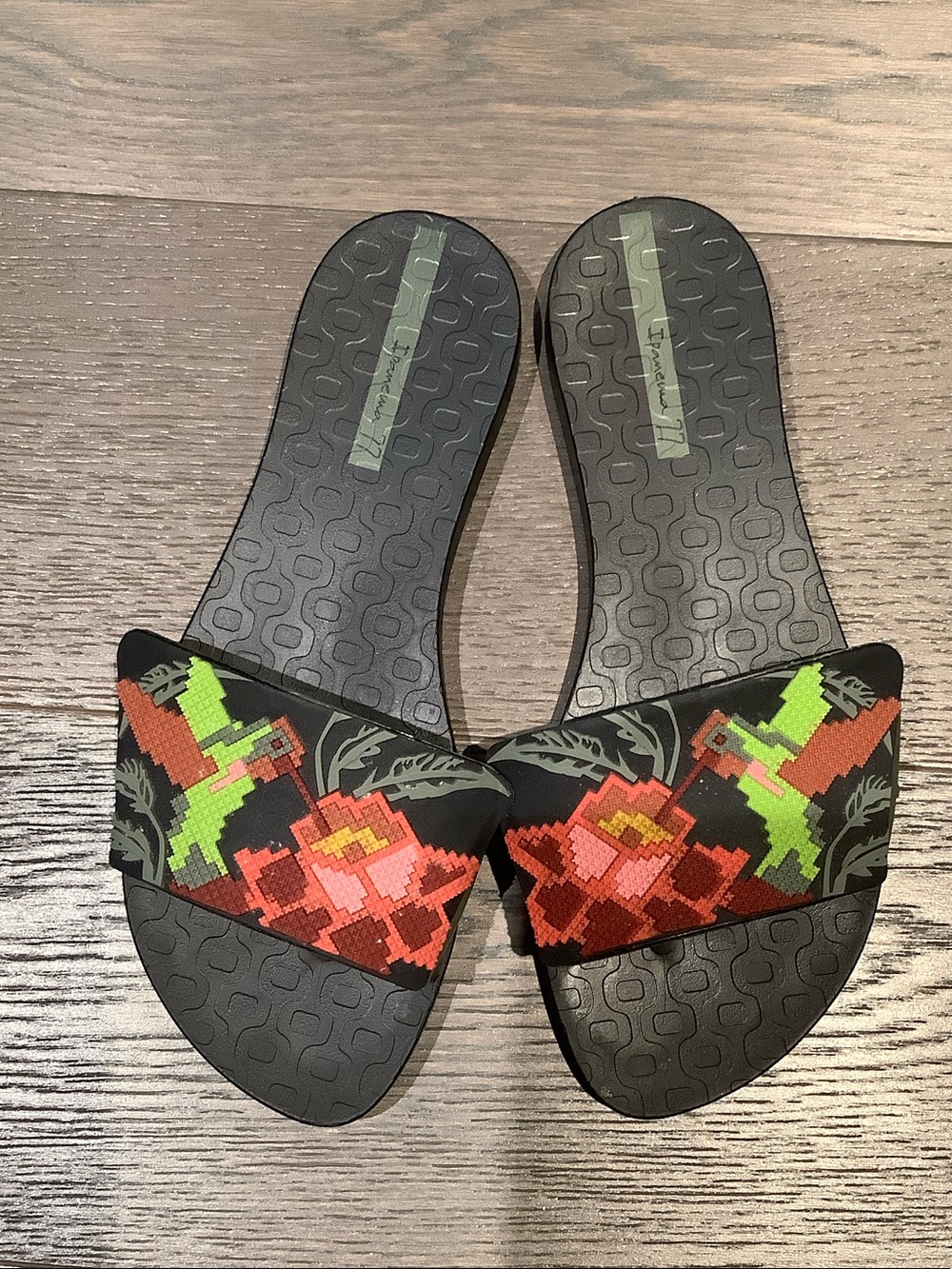 Ipanema Black Slide Sandals with Red and Green Embroidered Floral Design